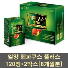 //상품명