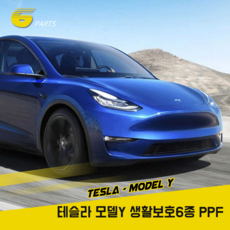 저스트쉴드모델y