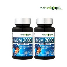 MSM 2000 엠에스엠 관절건강에 도움, 2개, 60정 - msm320-r