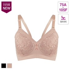 뇌새김br2000충전기