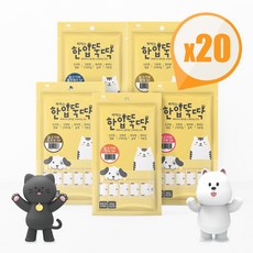 짜먹는한입뚝딱 국산 간식 파우치 (60gx20P)100P 모음, 14.황태5px10개+연어5px10개