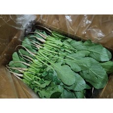국산 어린열무 6시내고향, 1개, 1kg