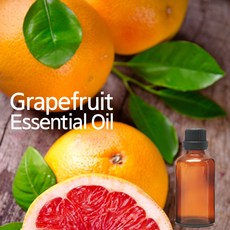 천연화장품 비누재료-그레이프프룻에센셜오일(grapefruit essential oil), 100ml