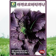 아까오오바타까나 적갓 씨앗 갓 씨 종자 20g, 1개