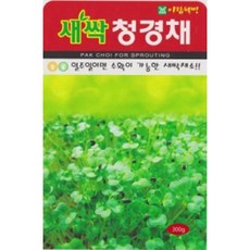 AR 새싹청경채 대포장 좋은 씨앗 300g, 1개