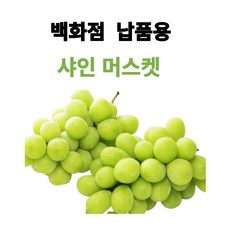 [상큼한별] 고당도 프리미엄 망고포도 김천 샤인머스켓 포도 산지공판장특가 1kg 2kg, 샤인머스켓 특품 2kg 3-4수, 6개