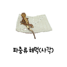 크레스티드게코해먹