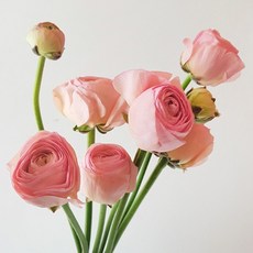 be05c07e8eb01b40d0af195f501d45a7e1b911a856e6e8dbf328051348f4.jpg