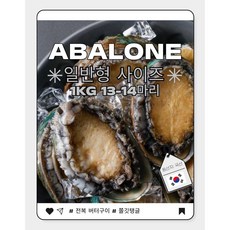 완도전복 1kg 13-14마리 일반형 (생산자직송), 1개