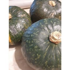 국내산 농장직송 당일선별 단호박, 1개, 700g