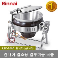 rsk-300a
