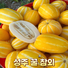 산지직송 고당도 성주 꿀 참외, 1박스, 가정용 대과 3kg 6~9과