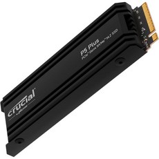 p5plus2tb TOP01