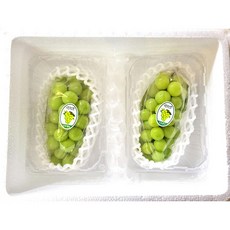 [블랙라벨] 프리미엄 샤인머스켓 2수 3수 초고당도 과일선물세트, 2수 1kg