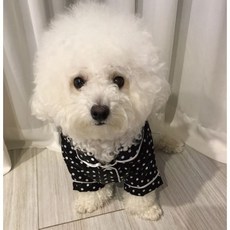 위드하우스 강아지옷 땡땡이 파자마 잠옷 404955, 핑크_2XL, 1개