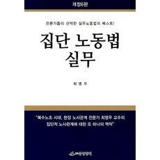 집단 노동법 실무, 최영우, 중앙경제사