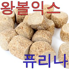 퓨리나 익스트루젼 1kg 햄스터 다람쥐 마우스 이갈이 사료, 1개