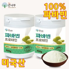 The큰나무 파바빈 프로테인 식물성 단백질 분말 자이언트 파바빈 콩, 300g, 2개