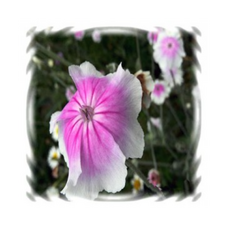 3025a16b8c7c39dc9151ff8ec0debe3f7244f4da8082e48622af6d279901.png