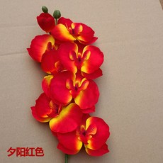 필름카메라현상기