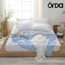 이브리다인견이불