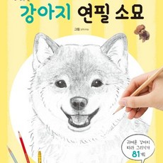 초보자를 위한 쉽고 Fun Fun한 크로키북: 동물 식물, 강아지 연필 소묘(삼호에듀)