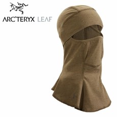 아크테릭스비니