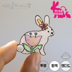 투명슈링클스