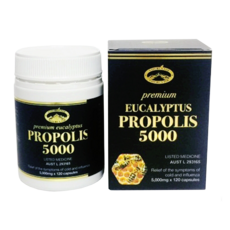 네이쳐스탑 유칼립투스 프리미엄 프로폴리스 5000mg 120캡슐 + [사은품]프로폴리스 스프레이 1개