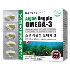 네이처랜드 식물성 오메가 30일분 혈행개선, 60정, 1개