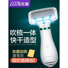 물튀김 거품 마사지 애견 드라이기 래모일체 고양이 전용 정음취모 빗고양이용 목욕용 털, 01 애완동물 캐릭터 취모빗 [흡수모 선물], 1개