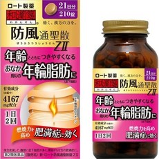 로토 방풍통성산 ZII 210정 / 21일분 / 일본직구
