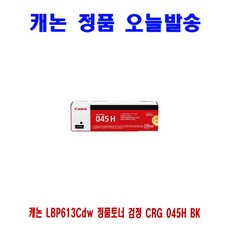 캐논잉크613