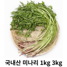 미나리 1kg 2kg 3kg 국내산 산지직송 한재 한방 밭미나리 무침 삼겹살 김장 향긋함 청도미나리 건강나물 뿌리야채 다이어트채소 1kg 1박스, 1개