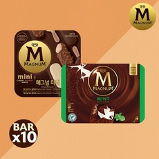 매그넘 미니팩 55mlx6개+매그넘 민트팩 100mlx4개