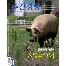(주간지) 주간경향 1430호 : 2021.06.07