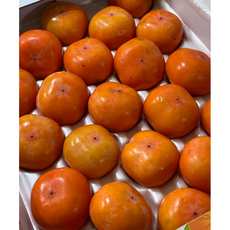 국내산 고당도 달콤한 반시 2.5kg 씨없는 감 홍시 연시 대봉감 단감 아이스홍시 연시감 반건시 제철 과일 홍시감 청도반시 후숙 겨울간식 그릭 디저트, 1개