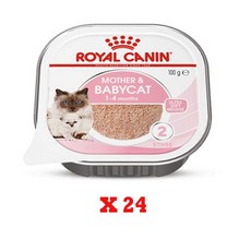 로얄캐닌습식-추천-상품