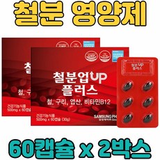 비 헴 철 분 철분제 구리 엽산 비타민 B12 멀티 복합 혼합 기능성 캡슐 영양제 보충제 보조제 온 우리 가족 전연령 남녀노소 중년 장년 노년 층 부모님 현대인 직장인, 2박스, 60캡슐