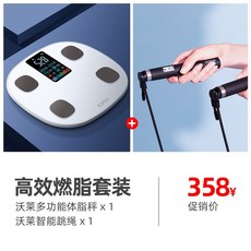 비스카전자저울