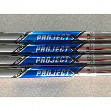미즈노 JPX 919 포지드 남자 아이언 명품 초보 연습 채 연습용 입문용, PROJECT X 5.0