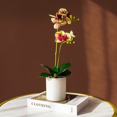 부산애프터눈티