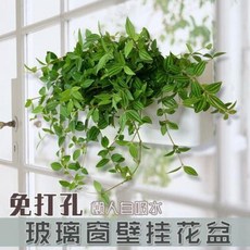 벽화분 벽면녹화 실내수직정원 벽걸이 화분, 01 ZWQ1 스몰