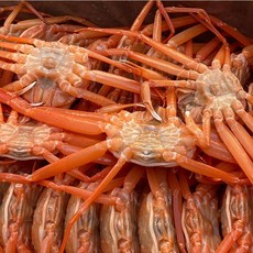 [자연맛남] 산지직송 자숙 박달홍게 5마리(중-특대/마리당500g-800g)
