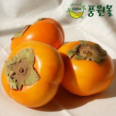 풍원영농조합법인 달콤한 경남 햇 단감 가정용흠과