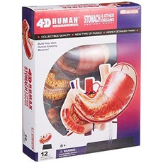 일본문화교과서