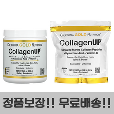 캘리포니아골드뉴트리션 콜라겐업 가루 분말 히알루론산 206g 464g, 2개