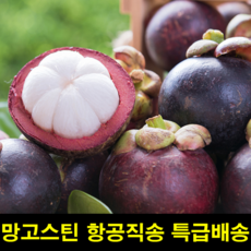 동남아과일