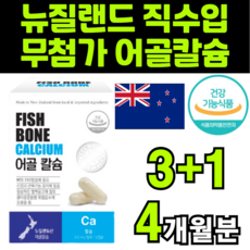 다다랜드플라잉노바