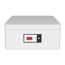 미니메추리종란